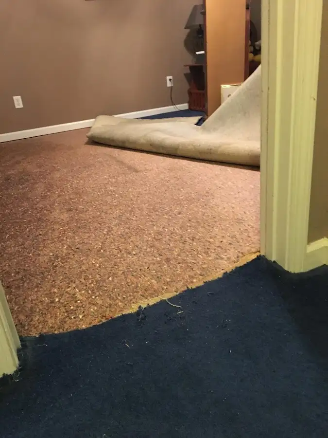 Carpet pad removal revealing water damage during Drying & Dehumidification in Eureka