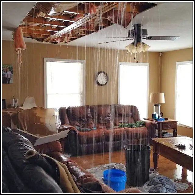 Water Damage Restoration services in Eureka, IL